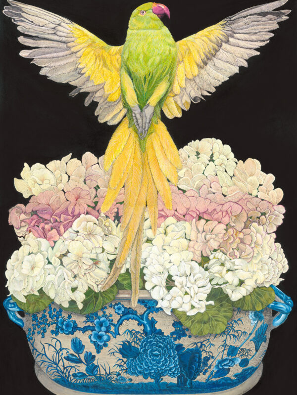 Feathers and Flowers