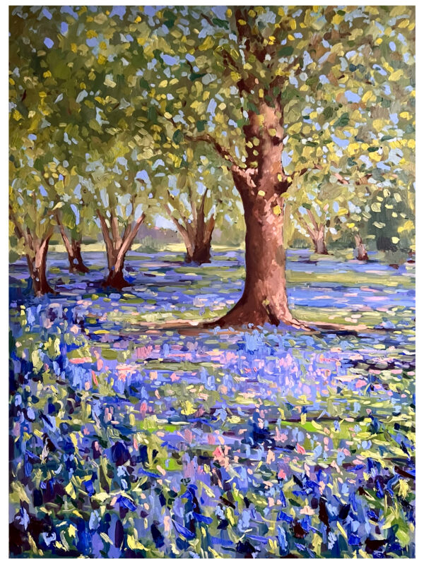 Sweet smell of blue bells