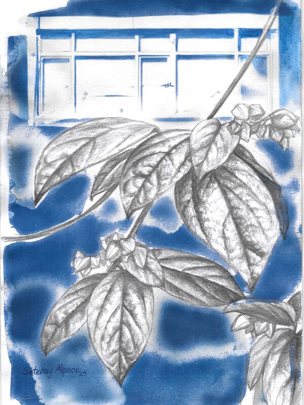 setenay-alpsoy-untitled-4